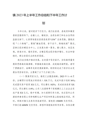 镇2023年上半年工作总结和下半年工作计划（20230905）.docx