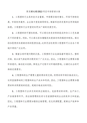 聚苯醚硫醚（PES）项目市场营销方案.docx