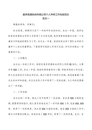 废弃资源综合利用公司个人年终工作总结范文.docx