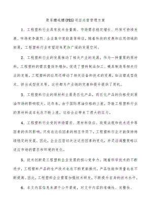 聚苯醚硫醚（PES）项目运营管理方案.docx