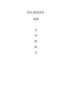 村庄规划项目招标文件.docx