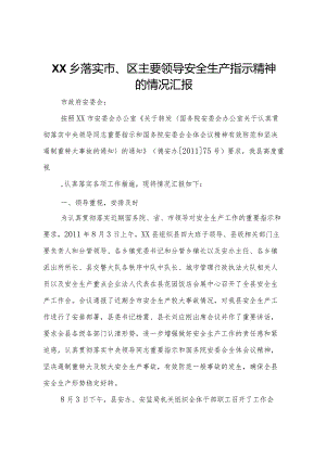 20XX年乡落实市区主要领导安全生产指示精神的情况汇报 .docx