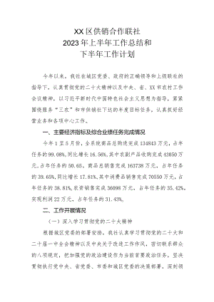 XX区供销合作联社 2023年上半年工作总结和下半年工作计划.docx