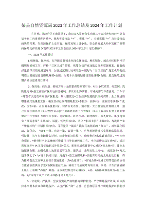 某县自然资源局2023年工作总结及2024年工作计划.docx