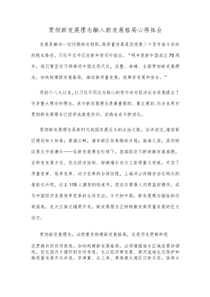 贯彻新发展理念融入新发展格局心得体会.docx
