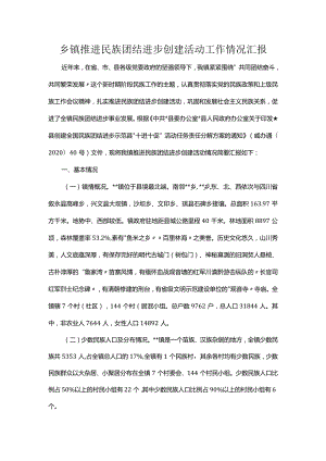 乡镇推进民族团结进步创建活动工作情况汇报.docx