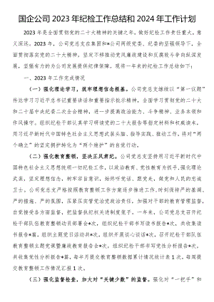 国企公司2023年纪检工作总结和2024年工作计划.docx