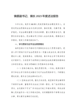 镇委副书记镇长2023年度述法报告三篇.docx