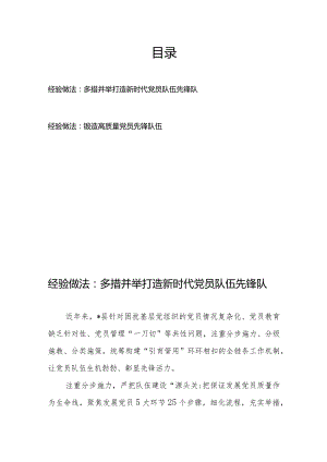 经验做法：多措并举打造新时代党员队伍先锋队、锻造高质量党员先锋队伍.docx