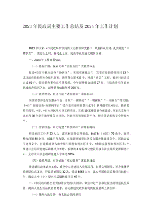 2023年民政局主要工作总结及2024年工作计划.docx
