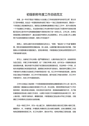 19-初级职称年度工作总结范文.docx