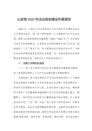 公安分局2023年法治政府建设年度报告三篇.docx