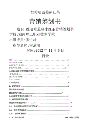 娃哈哈蓝莓冰红茶饮料策划方案.docx