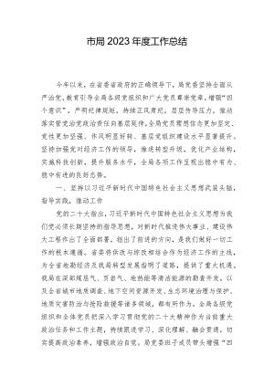 市局2023年度工作总结.docx