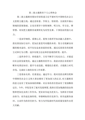 党员干部学习第二批主题教育心得体会.docx
