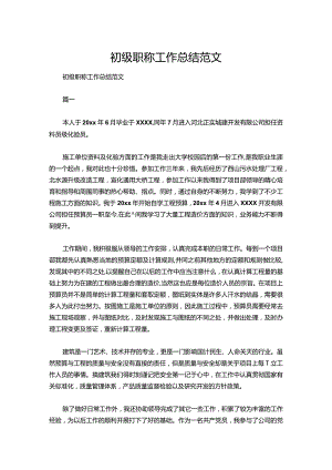 17-初级职称工作总结范文.docx