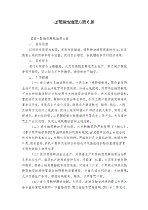 抛荒耕地治理方案6篇.docx