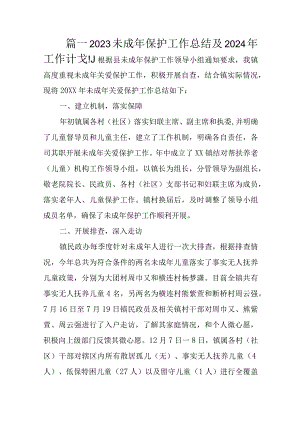 2023未成年保护工作总结及2024年工作计划.docx