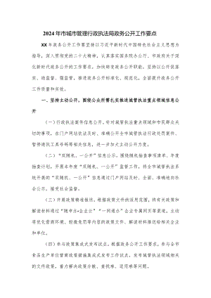 2024年市城市管理行政执法局政务公开工作要点.docx
