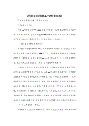 公司党支部抓党建工作述职报告2篇.docx