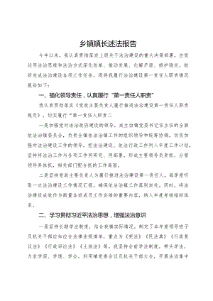 乡镇镇长2023年述法报告.docx
