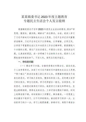 某某镇委书记2023年度主题教育专题民主生活会个人发言提纲.docx