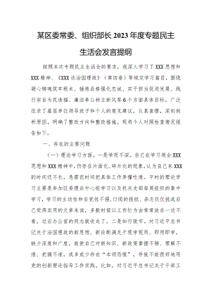 某区委常委、组织部长2023年度专题民主生活会发言提纲.docx