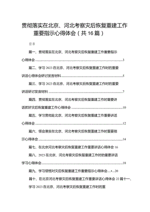 贯彻落实在北京、河北考察灾后恢复重建工作重要指示心得体会16篇供参考.docx
