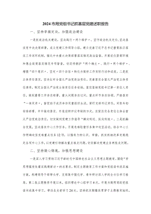 2024市局党组书记抓基层党建述职报告.docx