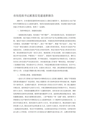 市局党组书记抓基层党建述职报告.docx