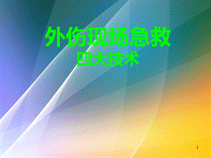 外伤急救四大技术.ppt