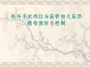 外科手术部位导尿管相关尿路感染预防与控制.ppt