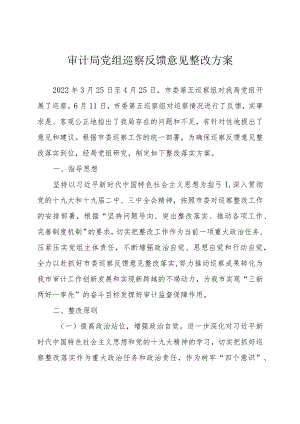 审计局党组巡察反馈意见整改方案.docx