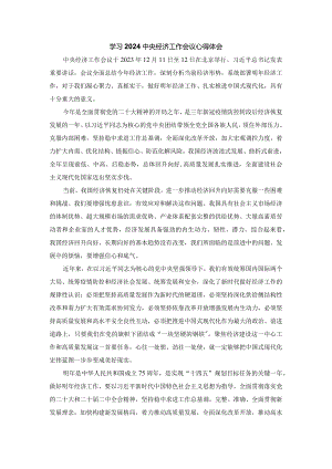 学习2024年中央经济工作会议心得体会二.docx