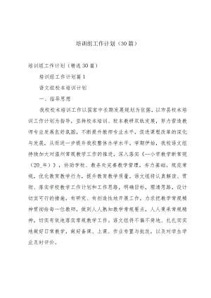 培训组工作计划（30篇）.docx