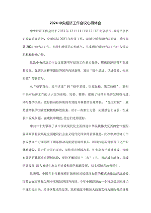 学习2024年中央经济工作会议心得体会5.docx