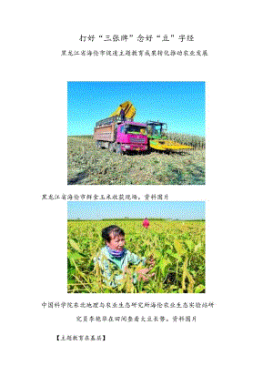 打好“三张牌” 念好“豆”字经.docx