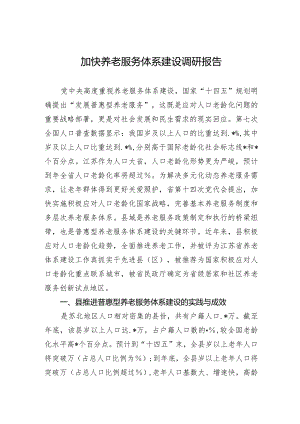 加快养老服务体系建设调研报告.docx