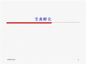 家禽孵化.ppt