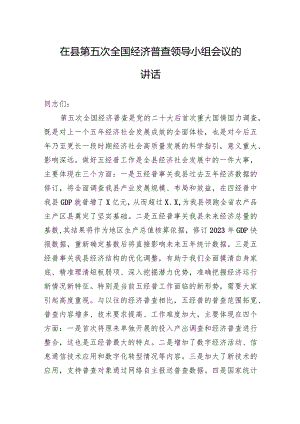 在县第五次全国经济普查领导小组会议的讲话.docx