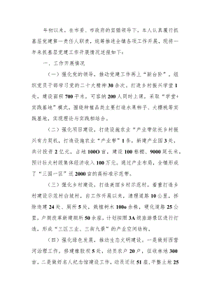 乡镇抓基层党建工作述职.docx