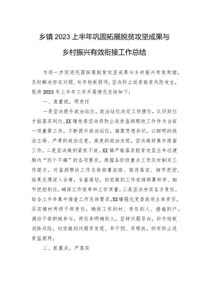 乡镇2023上半年巩固拓展脱贫攻坚成果与乡村振兴有效衔接工作总结.docx