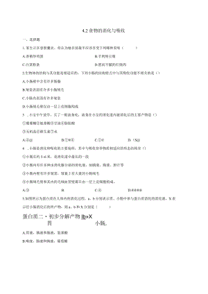 4.2食物的消化与吸收 同步练习（含解析）.docx