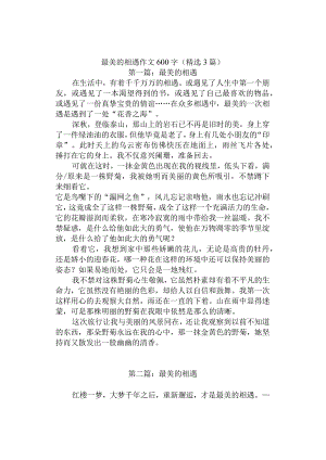 中小学《最美的相遇》作文600字(精选3篇).docx