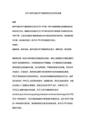 2023超声内镜引导下胰管穿刺引流术研究进展.docx