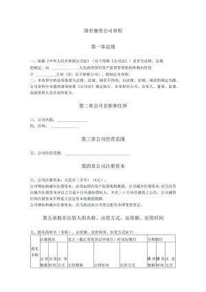 4.国有独资公司章程.docx