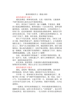 中小学《最美的遇见》作文（精选3篇）.docx
