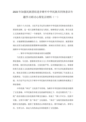 2023年加强民族团结进步铸牢中华民族共同体意识专题学习研讨心得发言材料（3篇）.docx