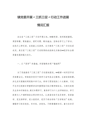 2023年镇党委开展“三抓三促”行动工作进展情况汇报.docx