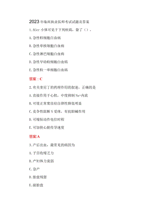 2023年临床执业医师考试试题及答案.docx